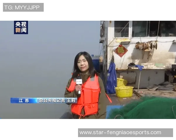 esports数据专访陈芳揭示王者荣耀成功背后的秘密与策略分析